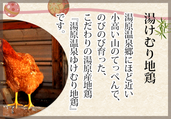 湯けむり地鶏